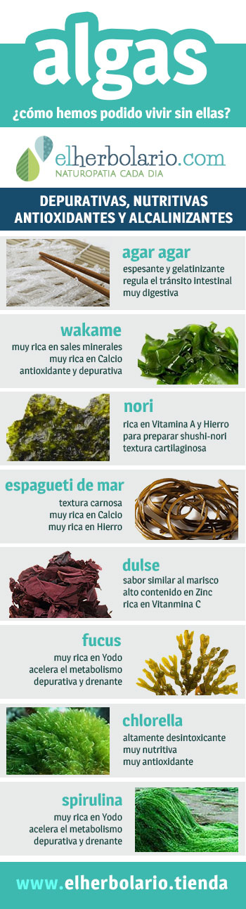 Algas alcalinizantes, antioxidantes y depurativas