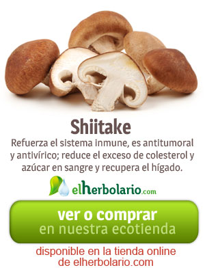 Comprar Shiitake, en elherbolario.com