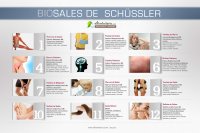Bio Sales de Schüssler