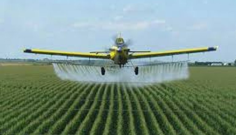 Pesticidas, enfermedades y medioambiente