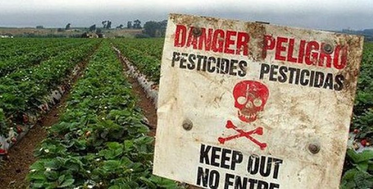 Toxicidad de los pesticidas en humanos